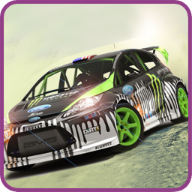 无限试驾2(Rally Racer Dirt)安卓版