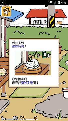 猫咪后院汉化版截图1