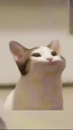 pop猫游戏(PopCat)安卓版截图1