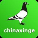 中国信鸽信息网手机版