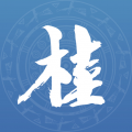 广西政务平台安卓版