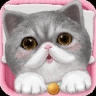 猫咪老师桌宠手机版