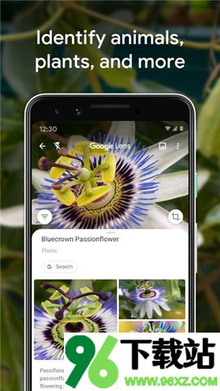 google智能镜头(google lens)安卓版截图1