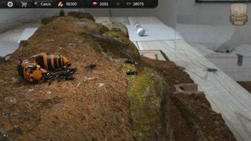蚂蚁模拟大亨(Ant Sim Tycoon)安卓版截图1