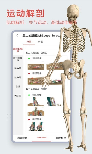 3dbody解剖学安卓版截图1