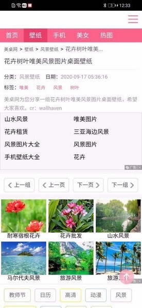 跑狗图正版高清图库大全安卓版截图1