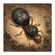 蚂蚁地下王国(The Ants)安卓版
