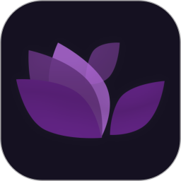 繁花直播最新版