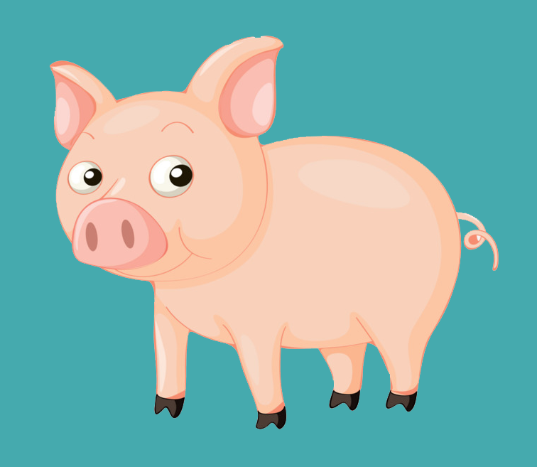 MeTV电视版直播app安卓版