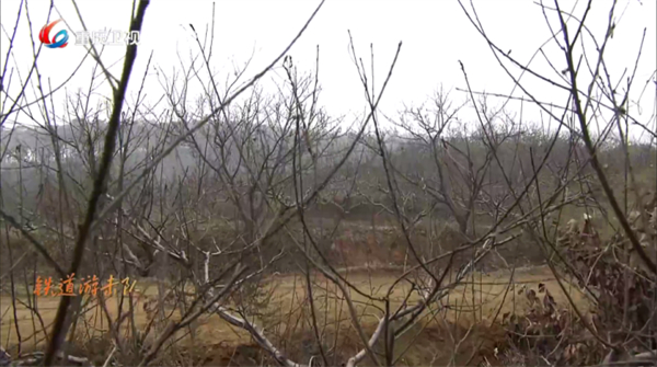 大吉电视电视版截图1