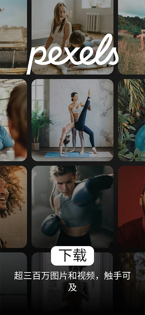 pexels免费素材网截图1