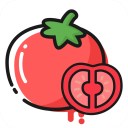 番茄轻断食App