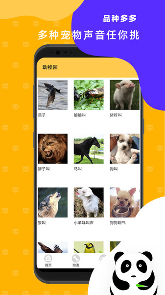 猫狗翻译神器最新版截图1