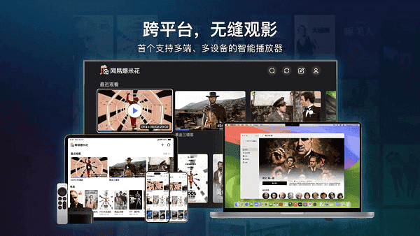 网易爆米花电视版安装包截图1