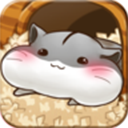 仓鼠的生活(Hamster Life)游戏