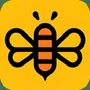 蜂蜜直播TV电视版