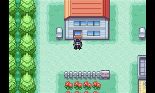 口袋妖怪火红版截图1