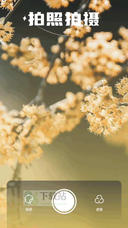 繁花漫画官方正版截图1