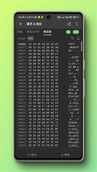 小黄鸟app最新版(httpcanary)截图1