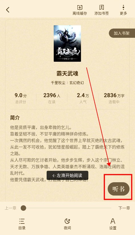 喵爪小说在线阅读