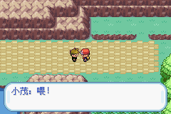 口袋妖怪叶绿版