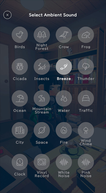 gogh虚拟形象与专注