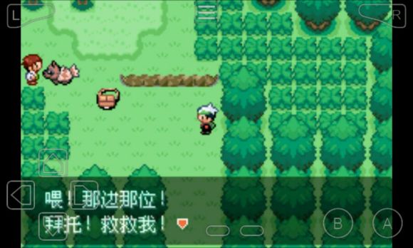 口袋妖怪永恒之沫