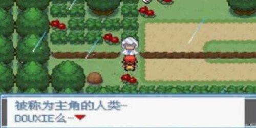 口袋妖怪绿宝石随机版截图1