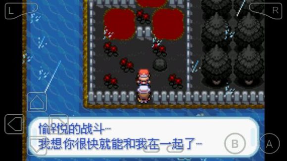 口袋妖怪绝望绿