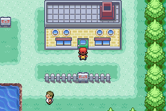 口袋妖怪叶绿版