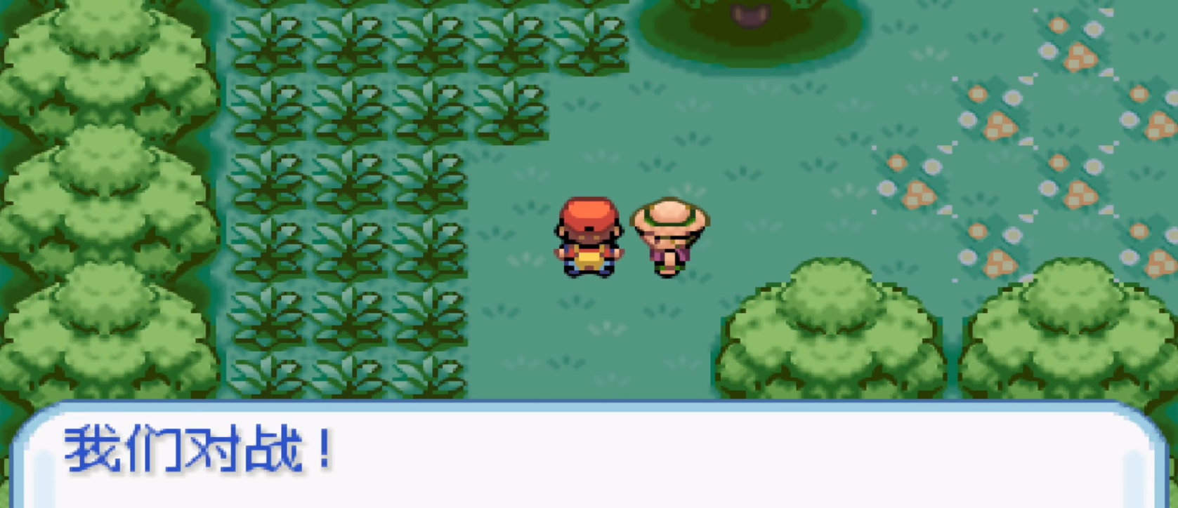 口袋妖怪融合维度