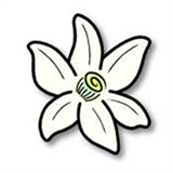 Azahar橙花模拟器安卓汉化手机版