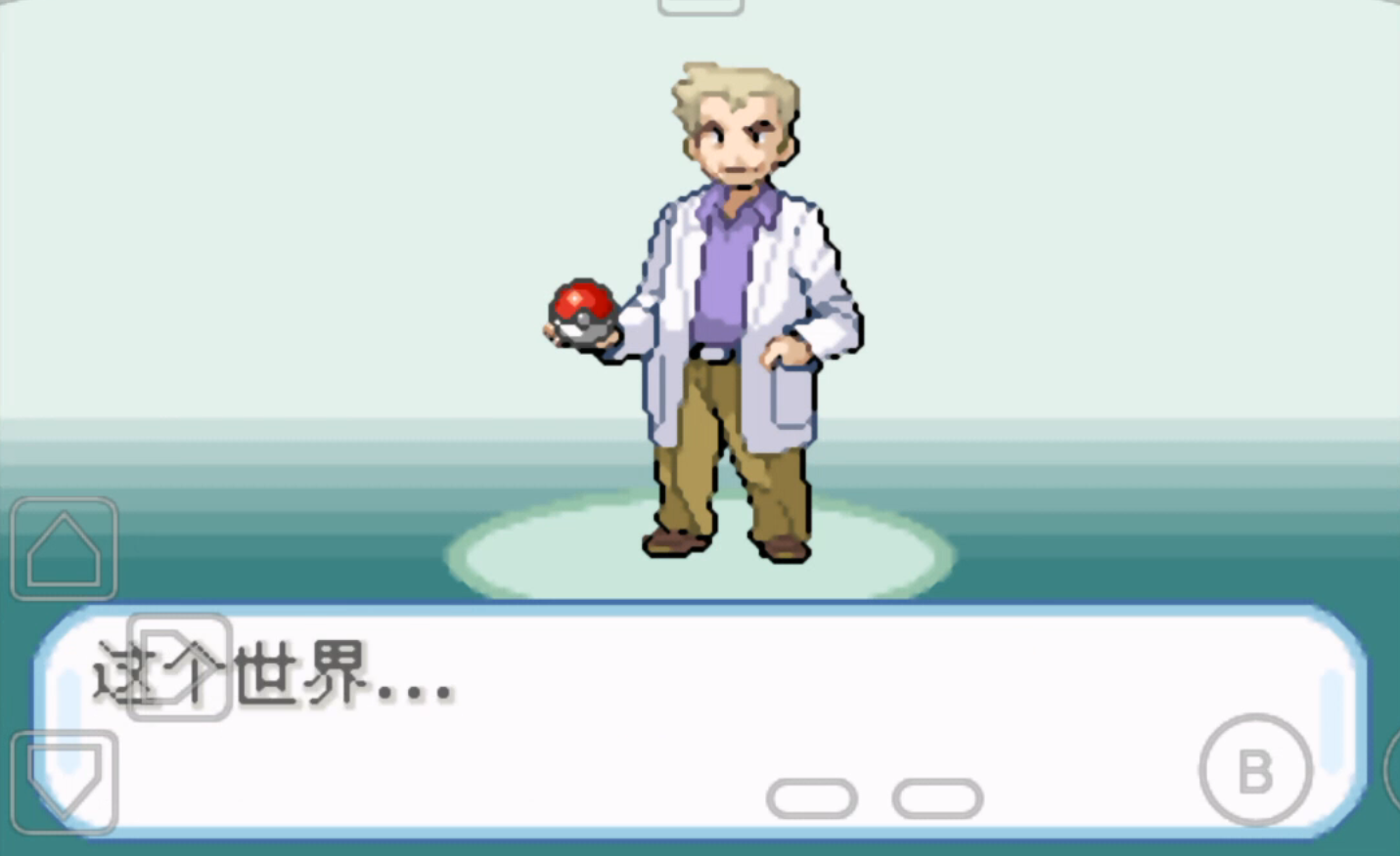 口袋妖怪圣灰汉化版