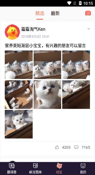 猫语翻译器