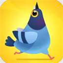 疯狂的鸽子手机版