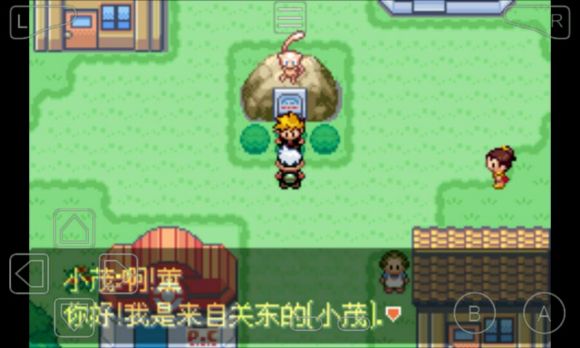 口袋妖怪永恒之沫