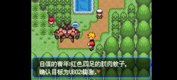 口袋妖怪究极绿宝石5.5