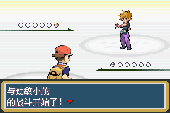 口袋妖怪叶绿版