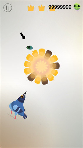 pigeonpop疯狂的鸽子