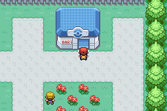 口袋妖怪叶绿版