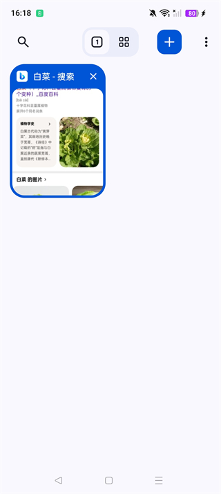 Cromite浏览器安卓正版截图1