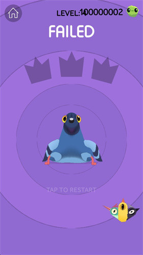 pigeonpop疯狂的鸽子