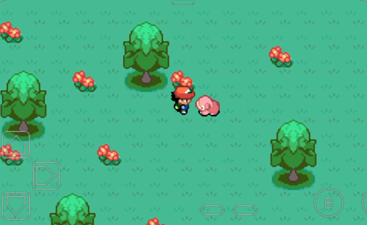 口袋妖怪圣灰汉化版