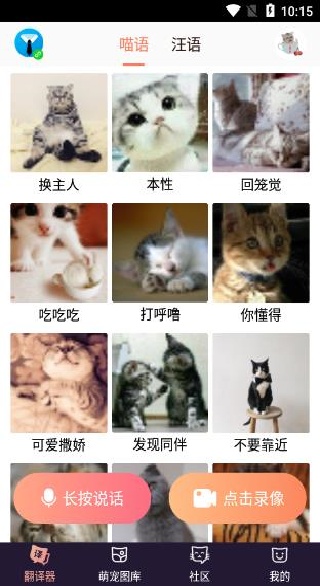 猫语翻译器