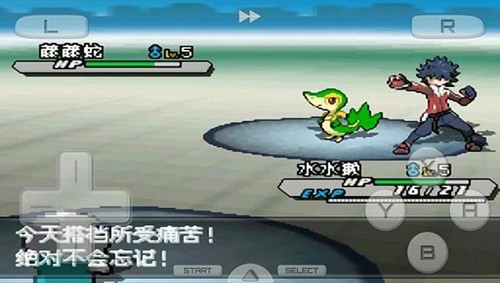 精灵宝可梦白2手机版截图1