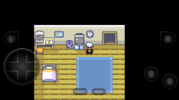 口袋妖怪绿宝石随机版