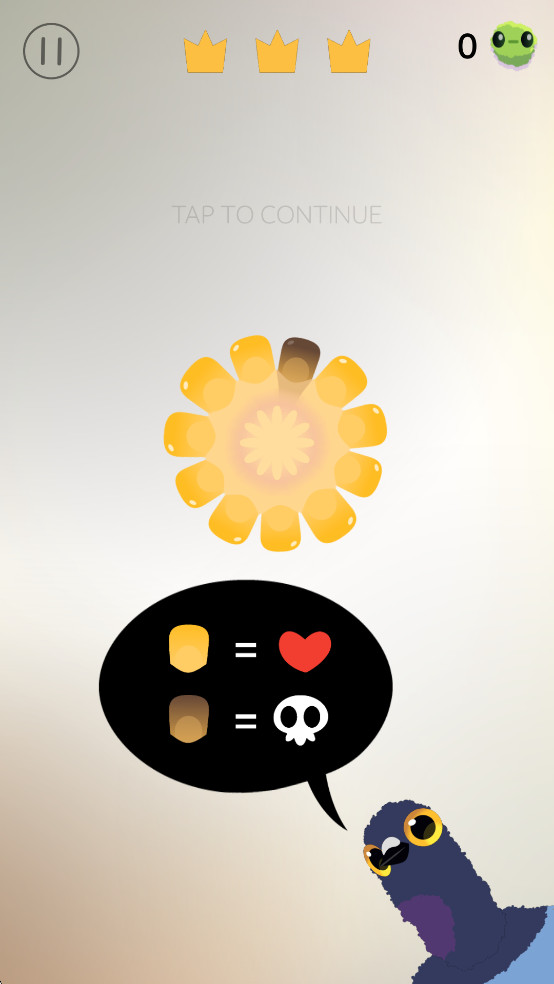 pigeonpop疯狂的鸽子