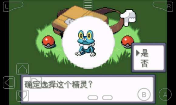 口袋妖怪永恒之沫