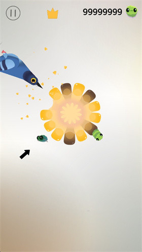 pigeonpop疯狂的鸽子