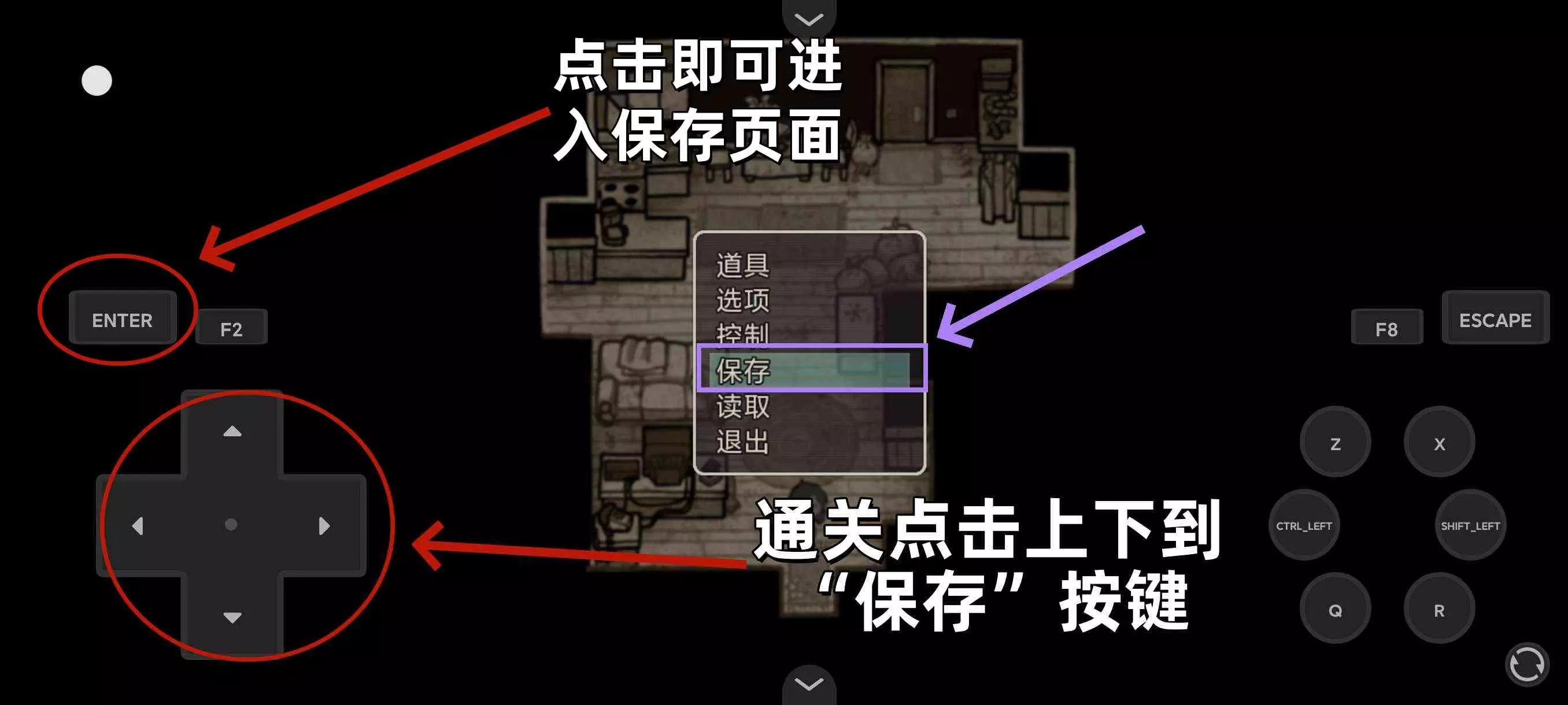 安迪与莉莉的棺材